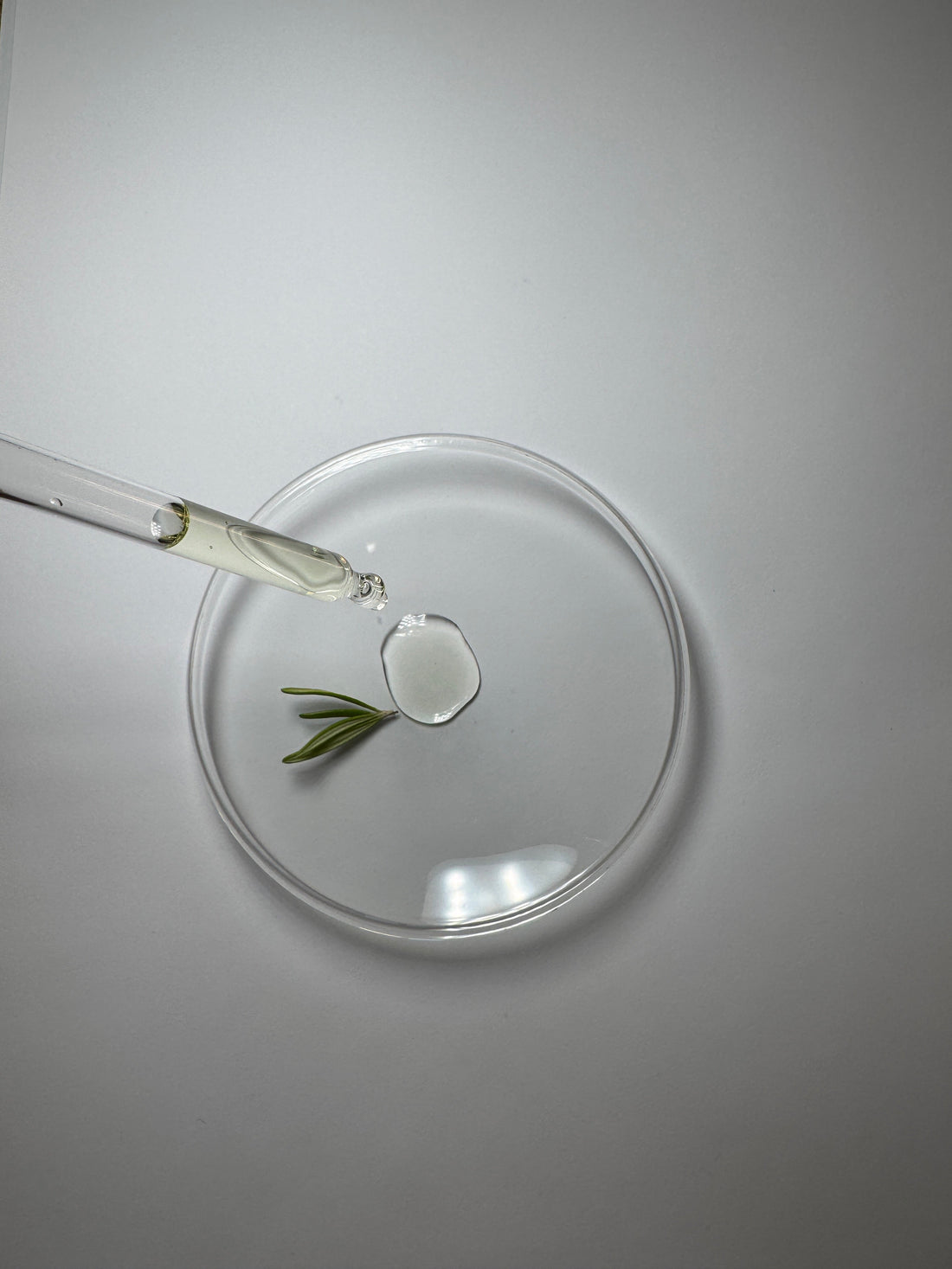 What’s Actually in Our Face Oil - And Why