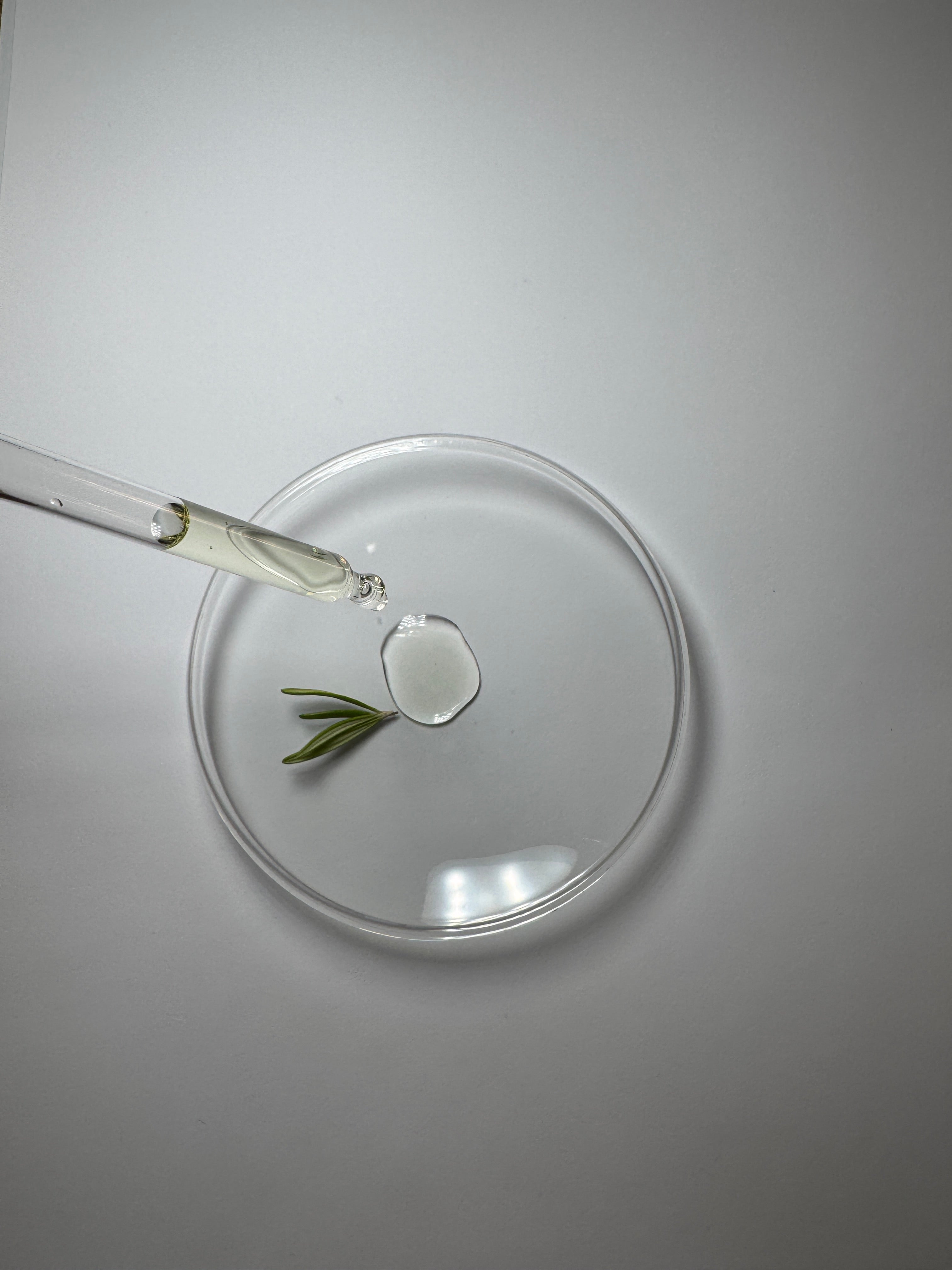 What’s Actually in Our Face Oil - And Why