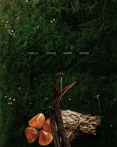 Archived Vanille de Perfume