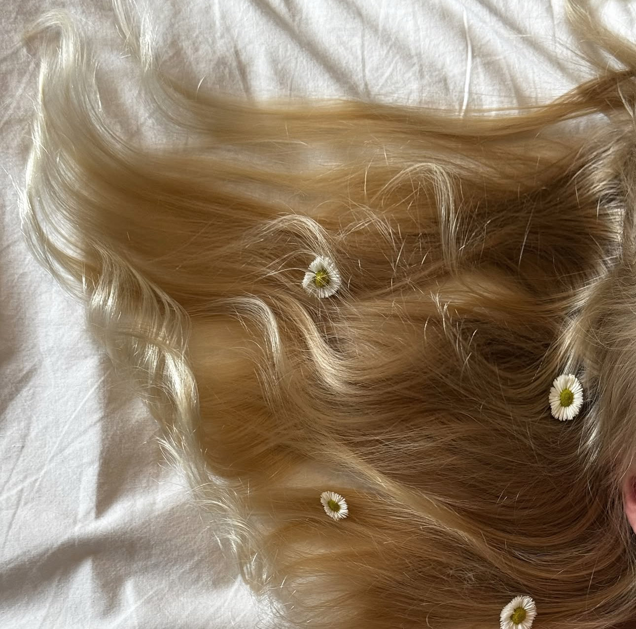 Crown Light Hair Oil