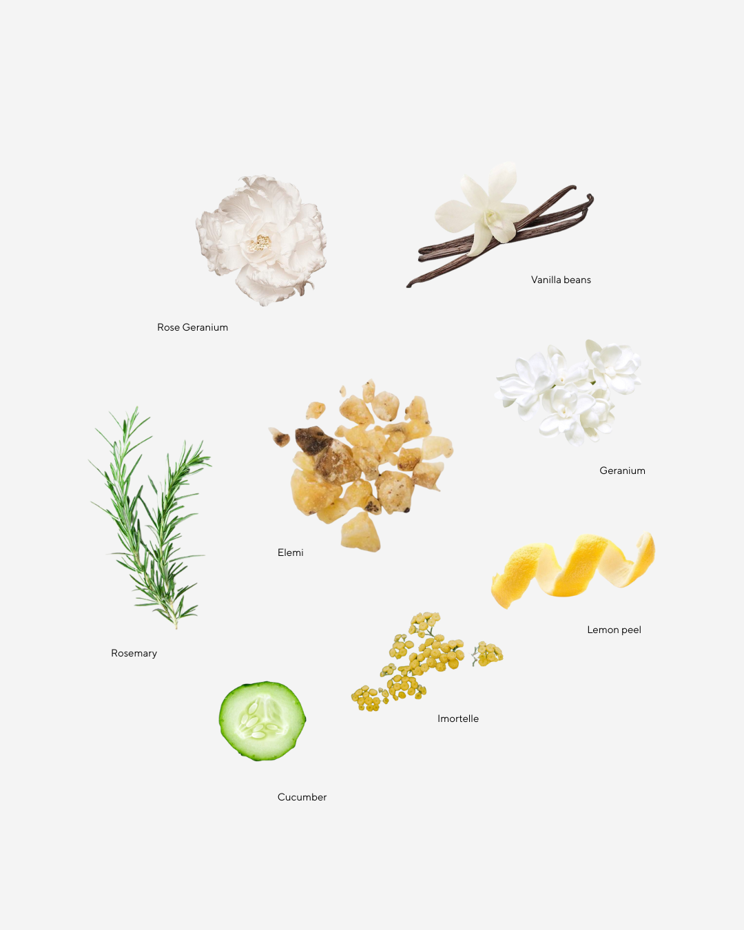 Body Oil
